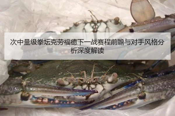 次中量级拳坛克劳福德下一战赛程前瞻与对手风格分析深度解读