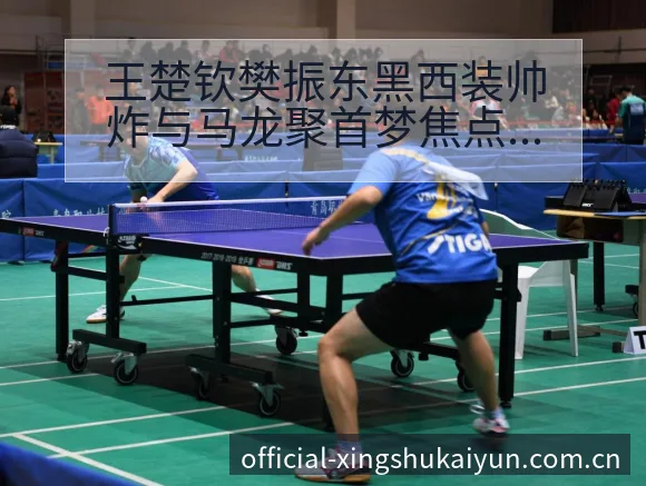 王楚钦樊振东黑西装帅炸与马龙聚首梦焦点：签表与对阵路径深 - 开云