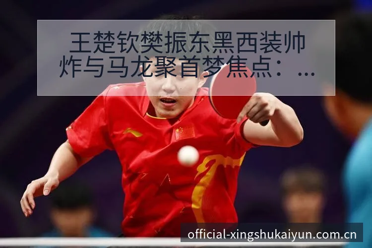 王楚钦樊振东黑西装帅炸与马龙聚首梦焦点：签表与对阵路径深 - 开云